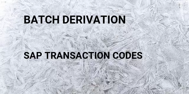 Batch derivation Tcode in SAP