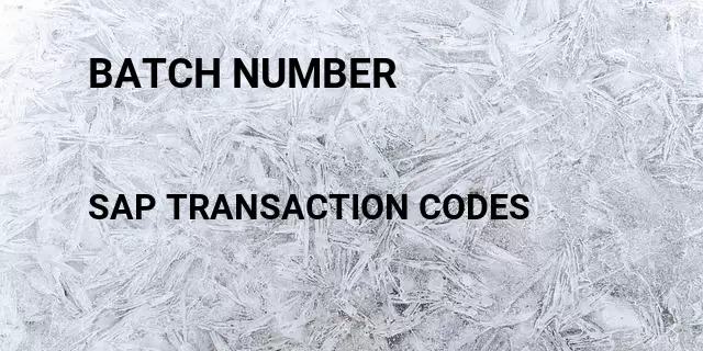 Batch number Tcode in SAP