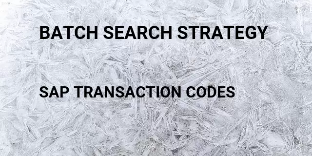 Batch search strategy Tcode in SAP