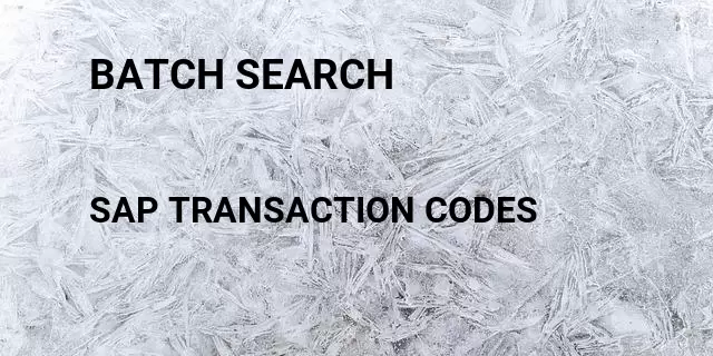 Batch search Tcode in SAP