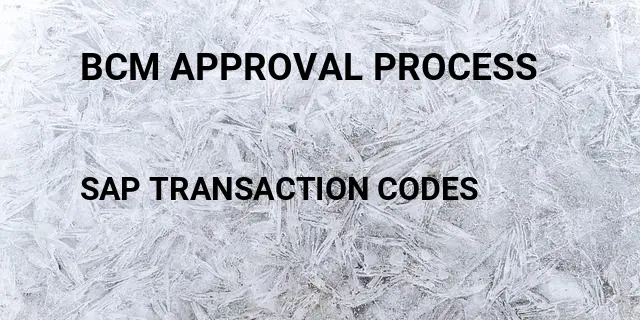 Bcm approval process Tcode in SAP