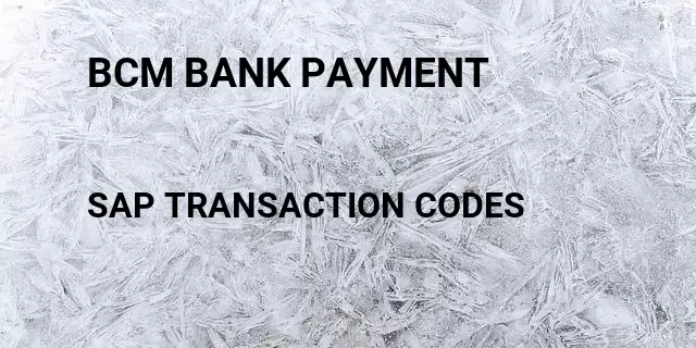 Bcm bank payment Tcode in SAP
