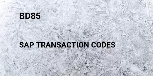 Bd85 Tcode in SAP