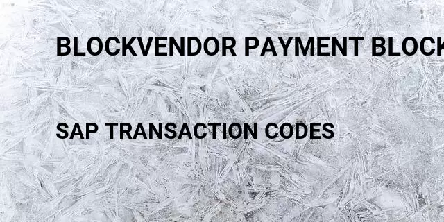 Blockvendor payment block Tcode in SAP