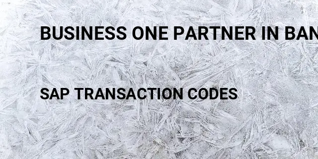Business one partner in bangalore Tcode in SAP