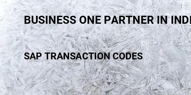 Business one partner in india Tcode in SAP