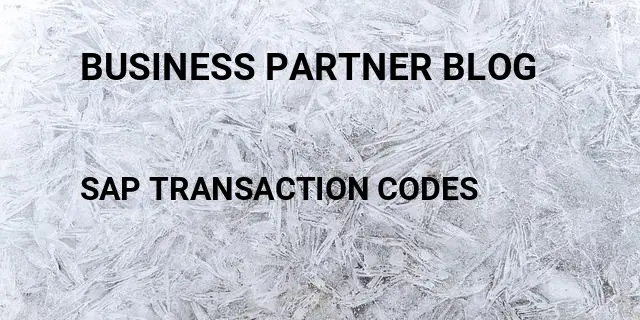 Business partner blog Tcode in SAP