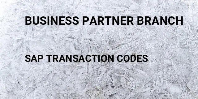 Business partner branch Tcode in SAP