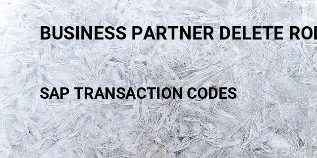 Business partner delete role Tcode in SAP