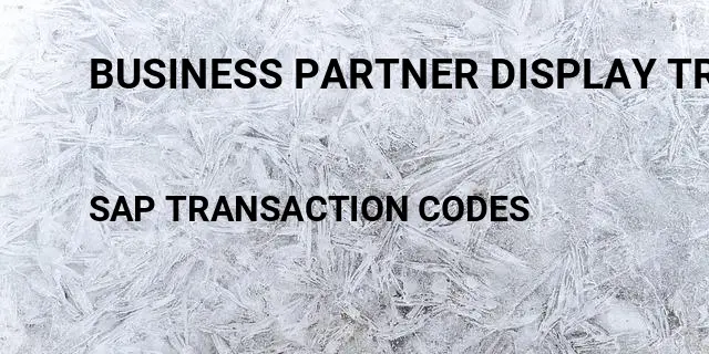 Business partner display transaction Tcode in SAP