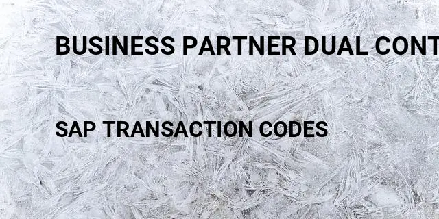 Business partner dual control Tcode in SAP