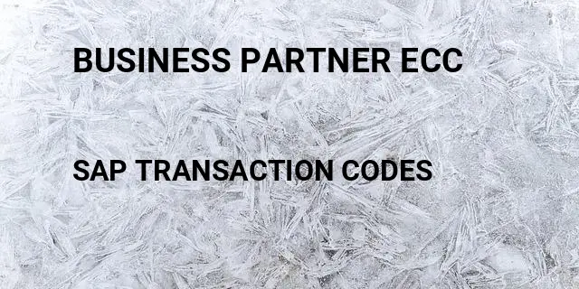 Business partner ecc Tcode in SAP