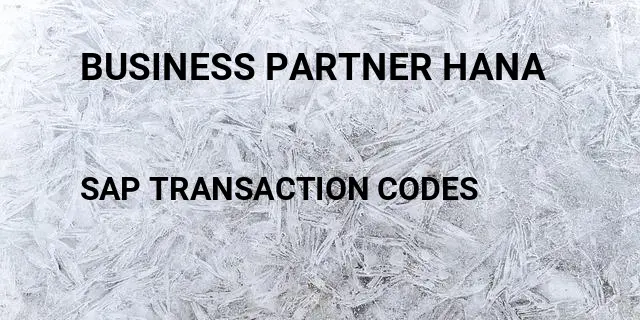 Business partner hana Tcode in SAP