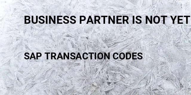 Business partner is not yet released sap Tcode in SAP
