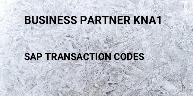 Business partner kna1 Tcode in SAP