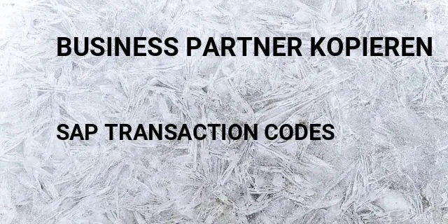 Business partner kopieren Tcode in SAP