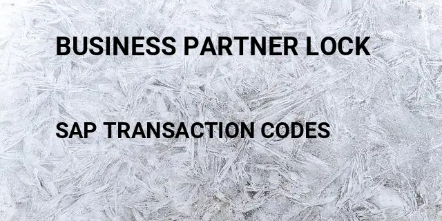 Business partner lock Tcode in SAP