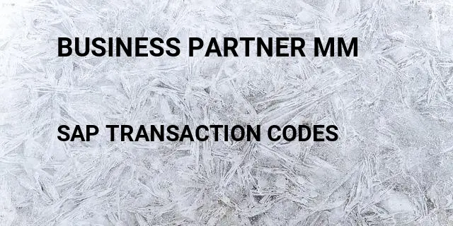 Business partner mm Tcode in SAP