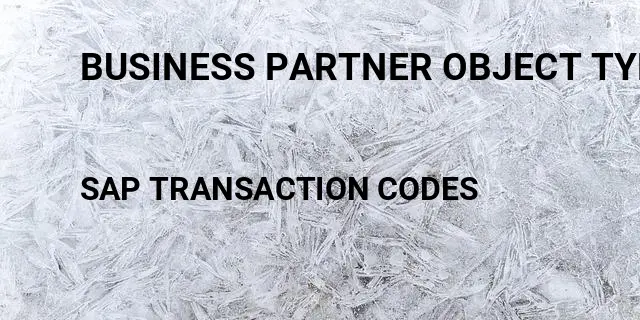 Business partner object type Tcode in SAP