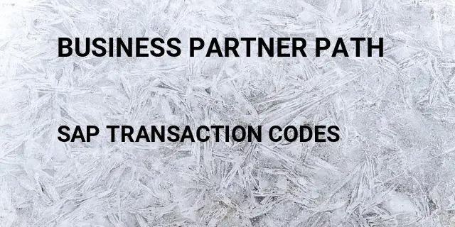 Business partner path Tcode in SAP