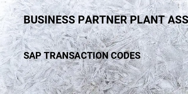 Business partner plant assignment Tcode in SAP