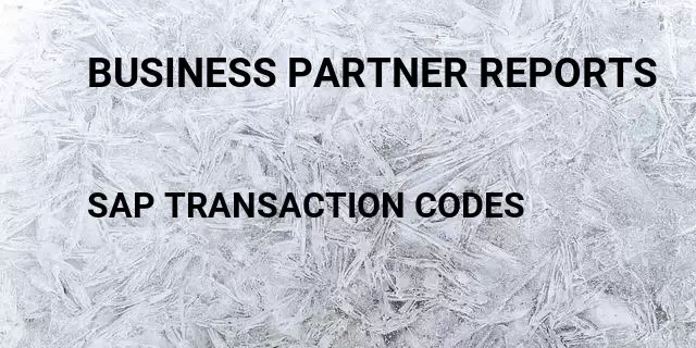 business-partner-reports-tcode-in-sap-transaction-codes-list