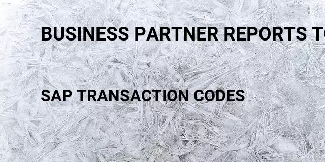 Business partner reports tocde Tcode in SAP