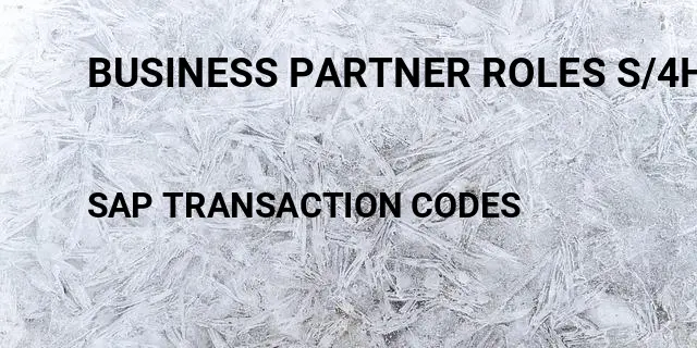 Business partner roles s/4hana Tcode in SAP