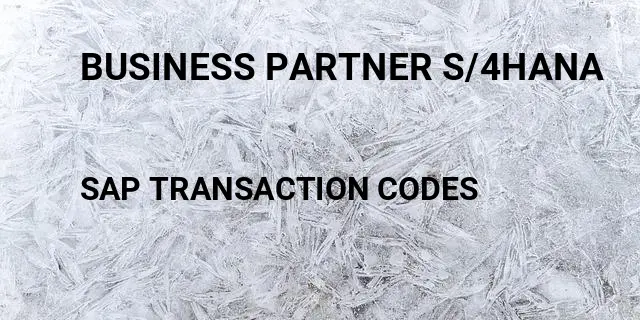 Business partner s/4hana Tcode in SAP