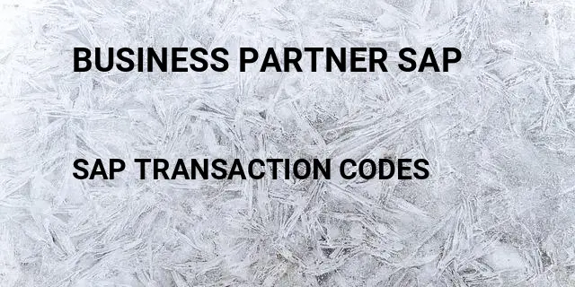 Business partner sap Tcode in SAP