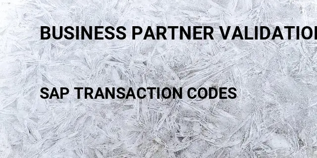 Business partner validation Tcode in SAP
