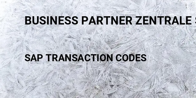 Business partner zentrale sperre Tcode in SAP