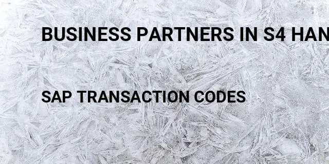 Business partners in s4 hana Tcode in SAP