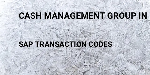 Cash management group in customer master Tcode in SAP