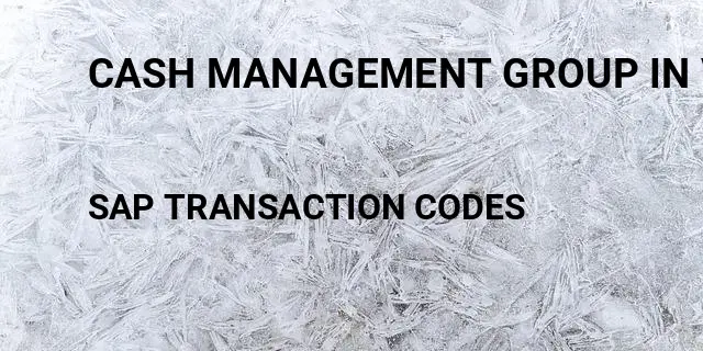 Cash management group in vendor master sap Tcode in SAP