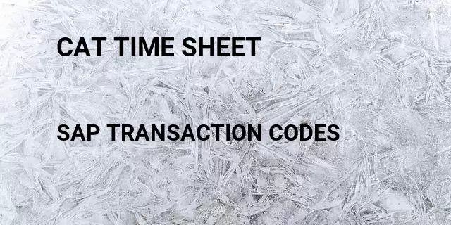 Cat time sheet Tcode in SAP