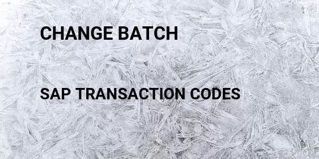 Change batch Tcode in SAP