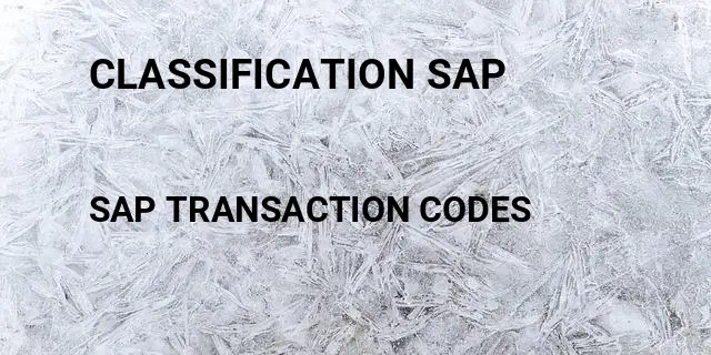 Classification sap Tcode in SAP