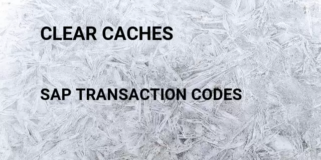 Clear caches Tcode in SAP