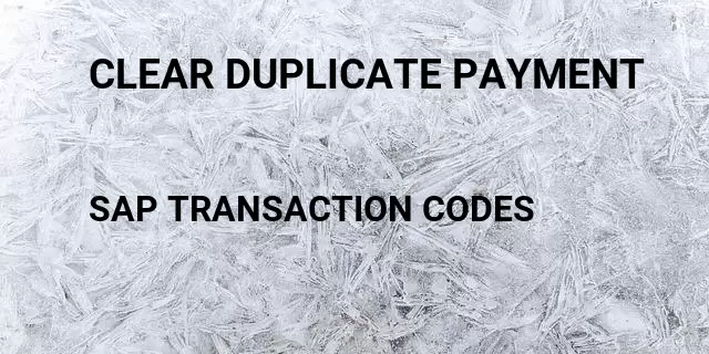Clear duplicate payment Tcode in SAP