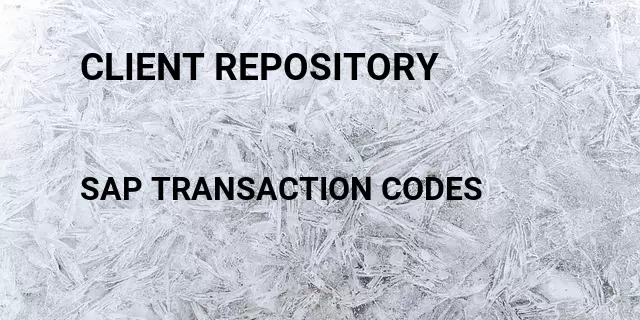 Client repository Tcode in SAP