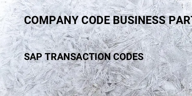 Company code business partner Tcode in SAP