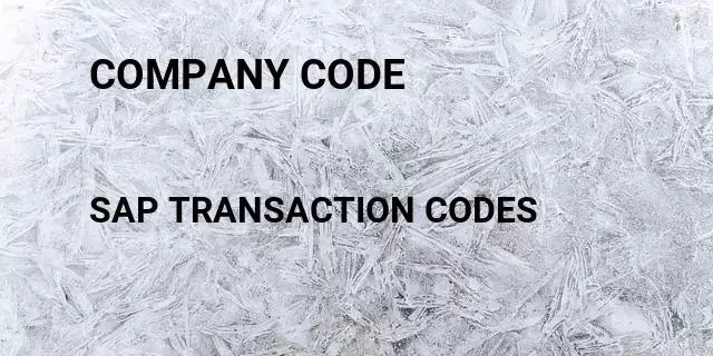 Company code Tcode in SAP