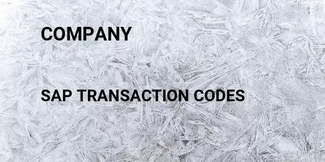 Company Tcode in SAP