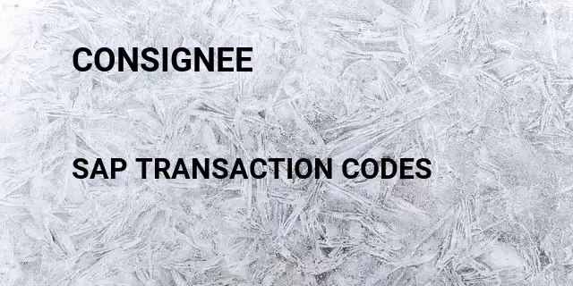 Consignee  Tcode in SAP