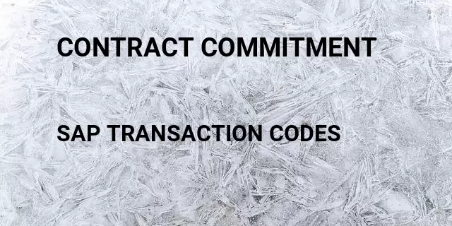 Contract commitment Tcode in SAP