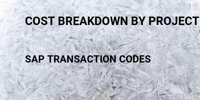 Cost breakdown by project Tcode in SAP