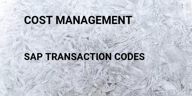 Cost management Tcode in SAP