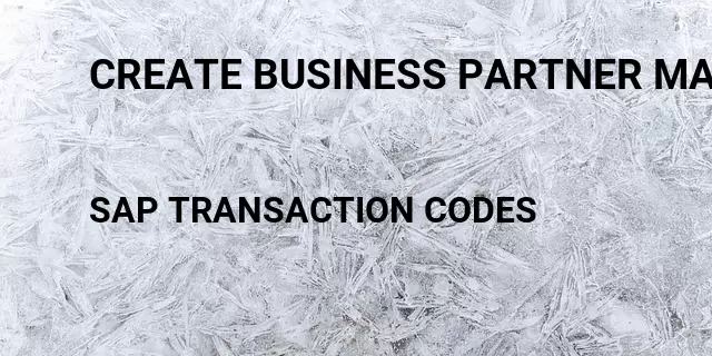 Create business partner master data Tcode in SAP