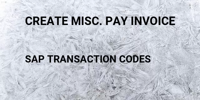 Create misc. pay invoice Tcode in SAP